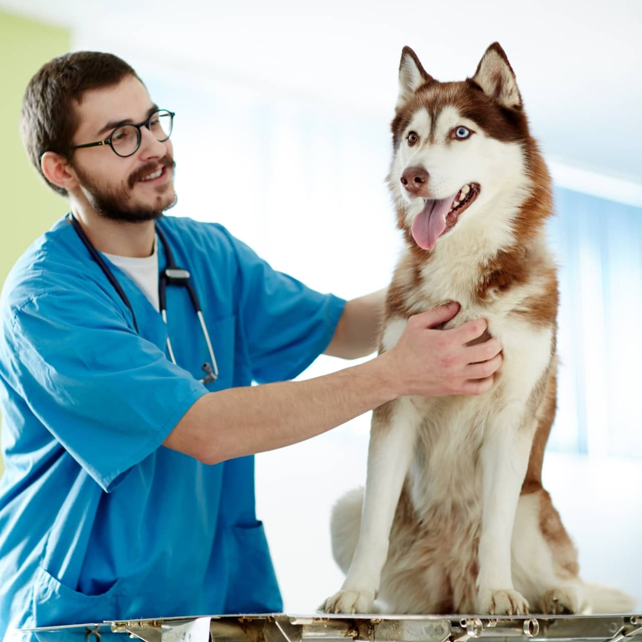 All Pets Have Special Quirks and Qualities